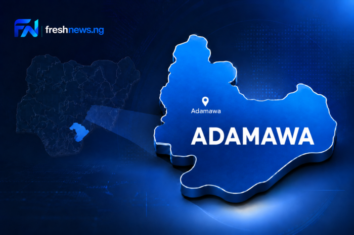 Lightning Killed Six Children Adamawa