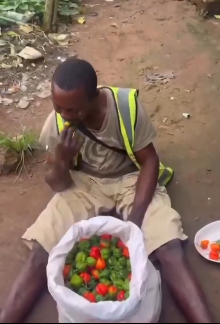 Pepper thieves