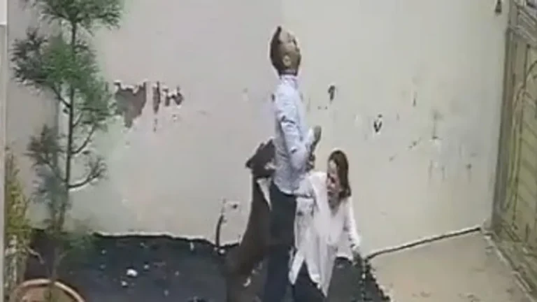 Couple Attacked By Dog While Inspecting House For Rent (Video)