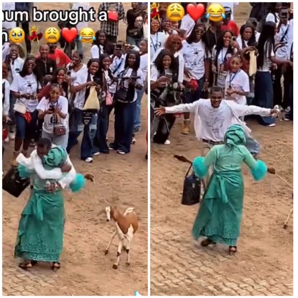 Mother University graduate goat