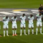 Ireland players