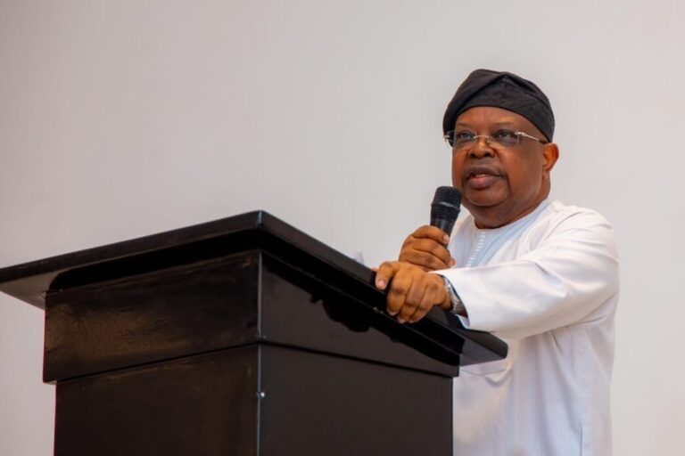 ‘Baba, Don’t Slow Anything Down’ — Nigerians React To Power Minister’s Freezer Remark