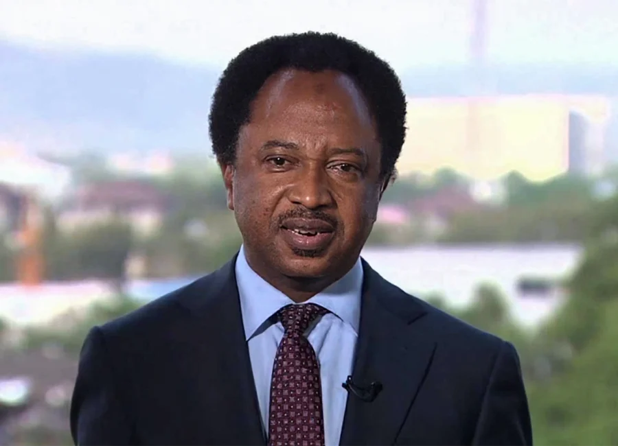 Shehu Sani Stock Market Warning