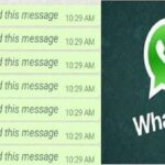 WhatsApp deleted message